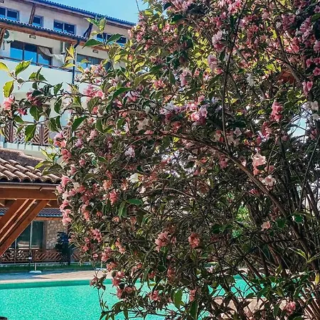 Mm Complex 公寓式酒店